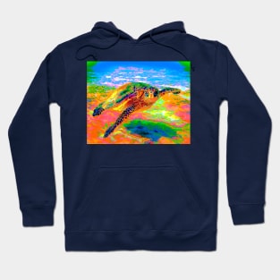 Rainbow Sea Turtle Hoodie